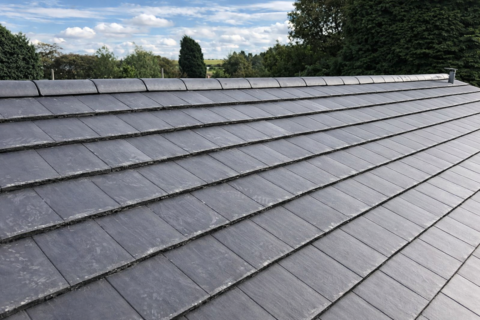 ChatGPT Image Feb 20, 2026, 11_06_38 AM